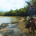 森と浜散歩（馬体験） 3