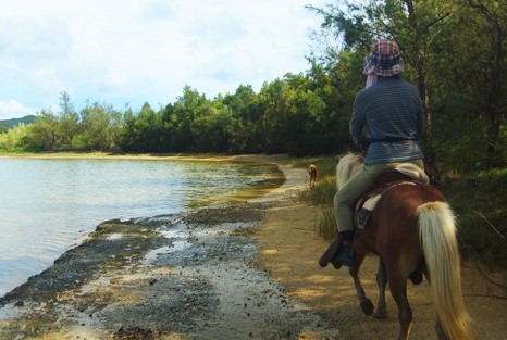 森と浜散歩（馬体験） 3