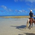 森と浜散歩（馬体験） 5