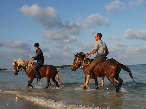 「馬で浜散歩」 3
