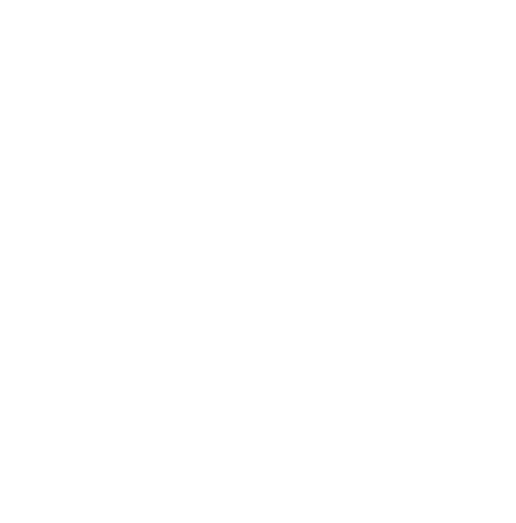 Guide