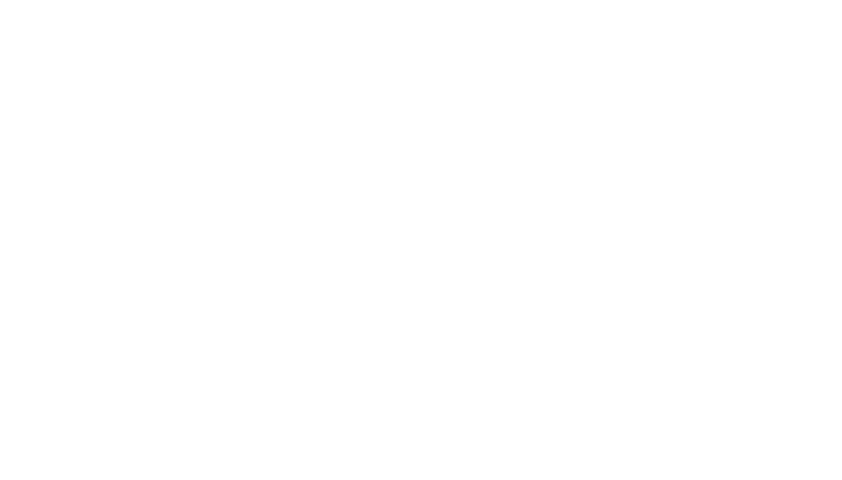 Partner Blog