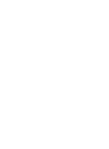 Spot